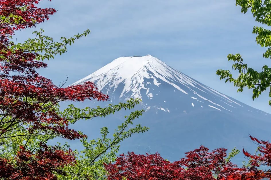 japan-2024